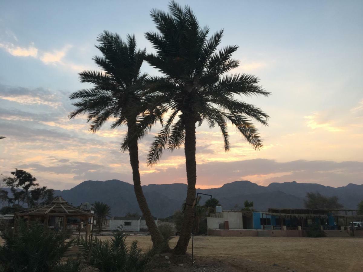 Sina Star Camp Ξενοδοχείο Nuweiba` Εξωτερικό φωτογραφία